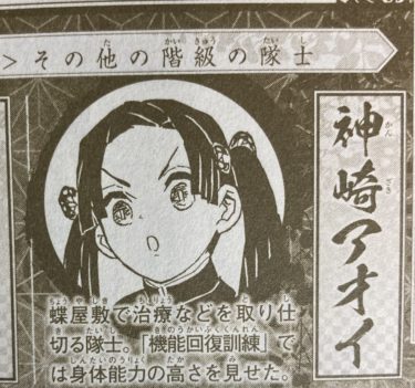 伊之助とアオイ 伊アオ はなぜ結婚したの 接点や嘴平青葉について解説 アニドラ何でもブログ