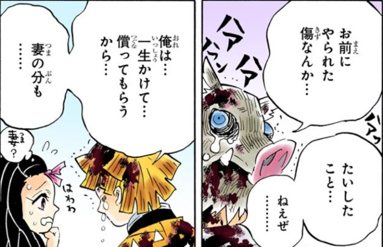 善逸と禰豆子(ぜんねず)はその後結婚した？二人の出会いや子孫を紹介！│アニドラ何でもブログ