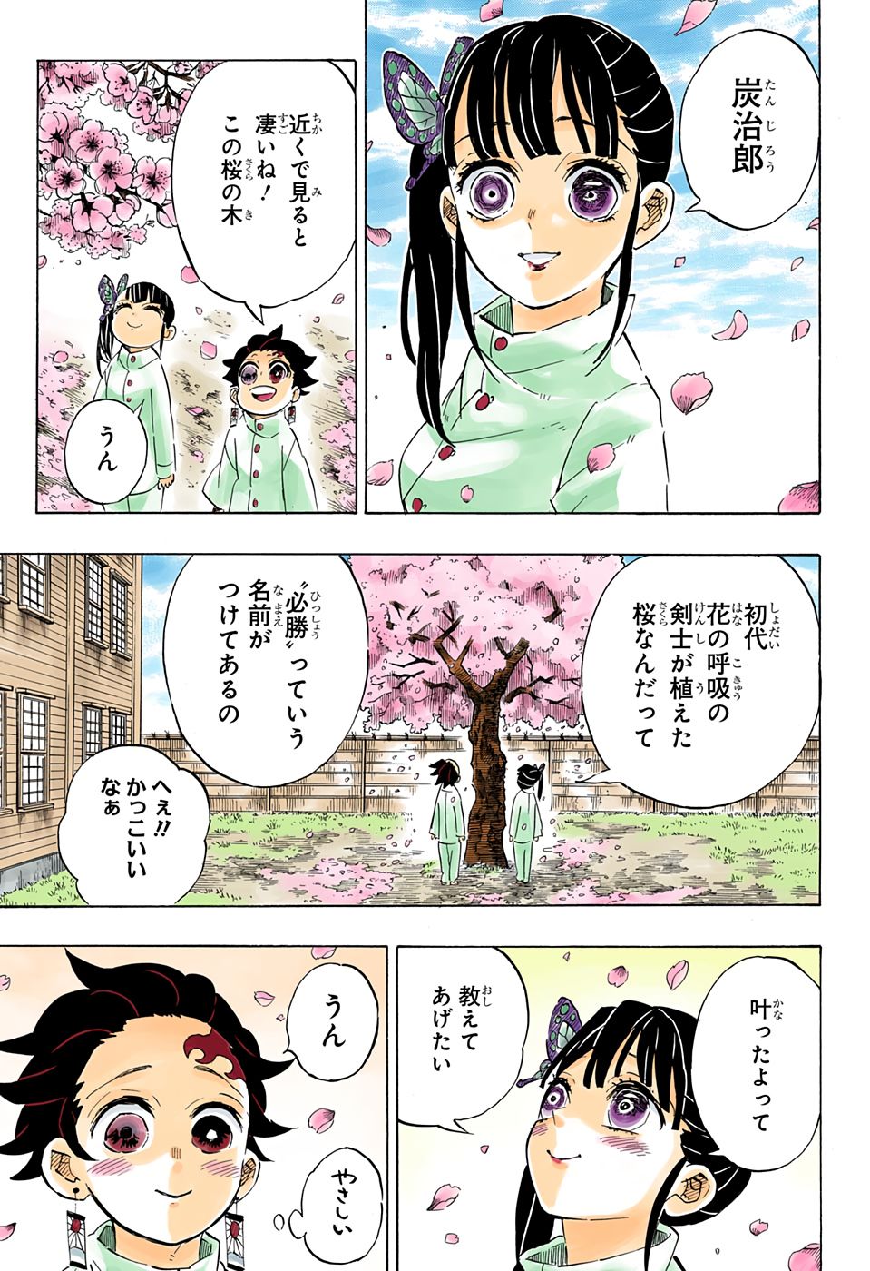 鬼滅の刃 炭治郎とカナヲはその後結婚した 桜の木の下ではラブラブ アニドラ何でもブログ