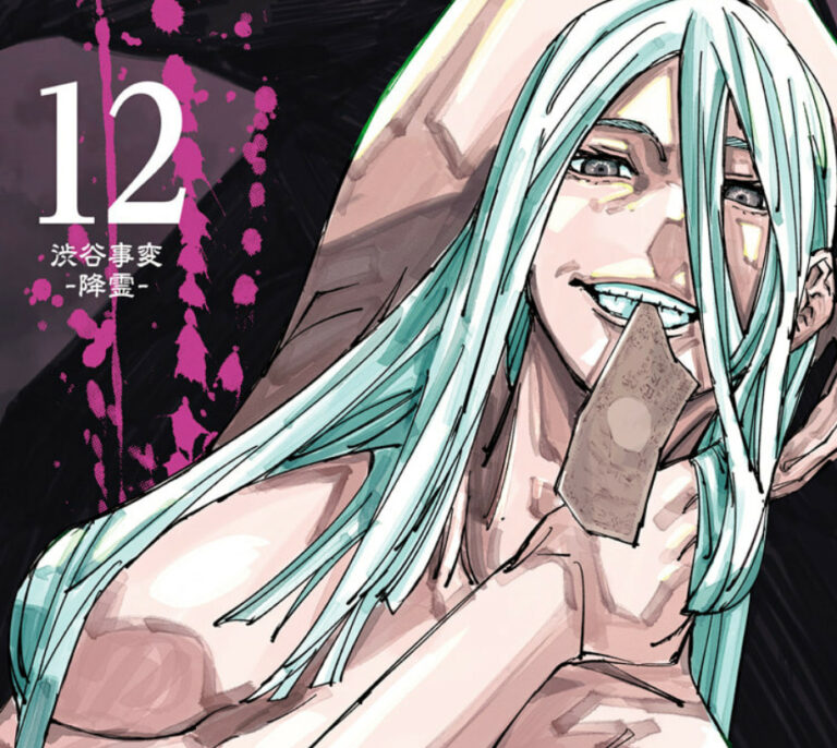 呪術廻戦12巻の表紙で、紙幣をくわえながら不敵な笑みを浮かべる冥冥