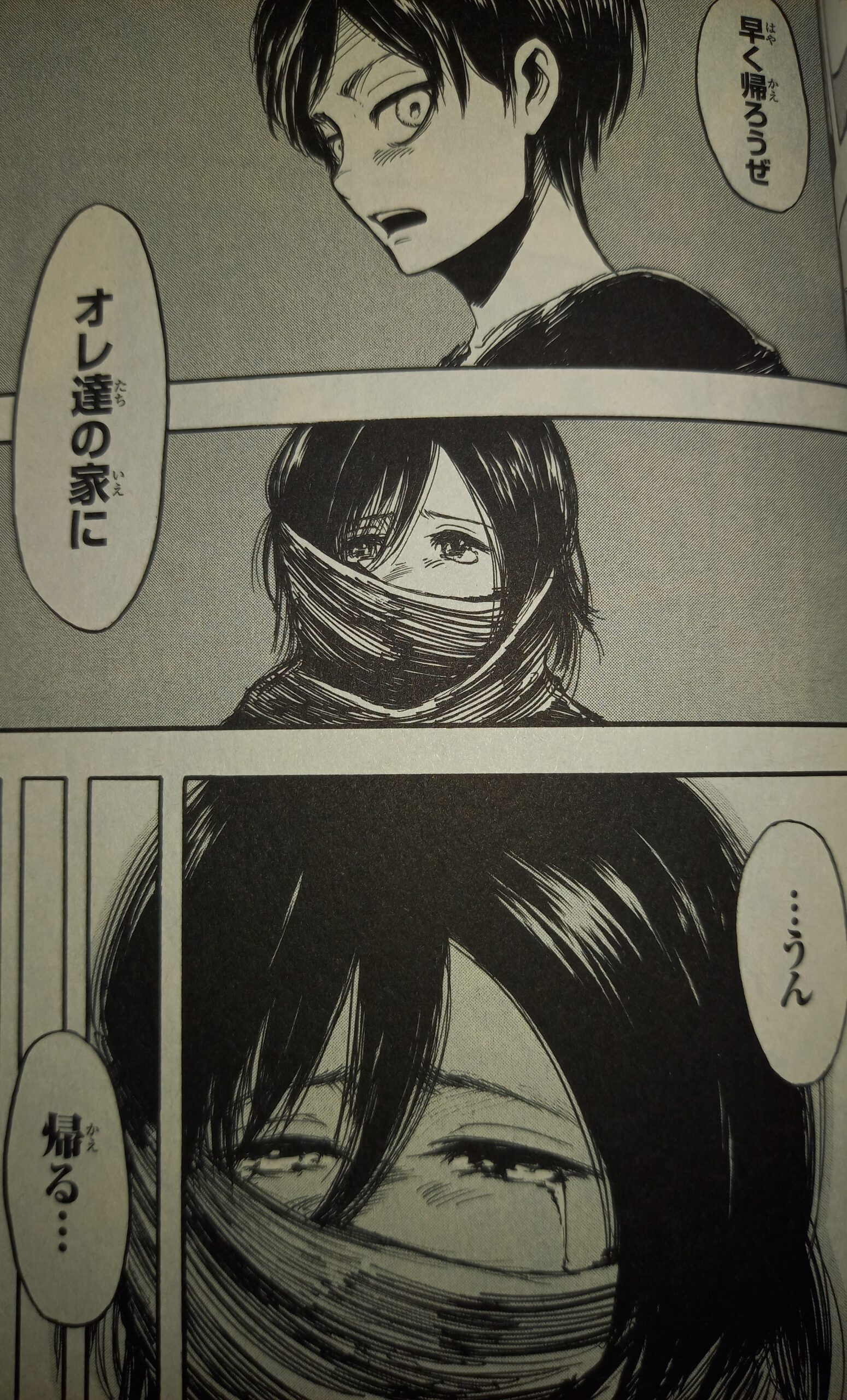 進撃の巨人 ラスボスはミカサだった 愛するエレンを殺したのはなぜ アニもブログ