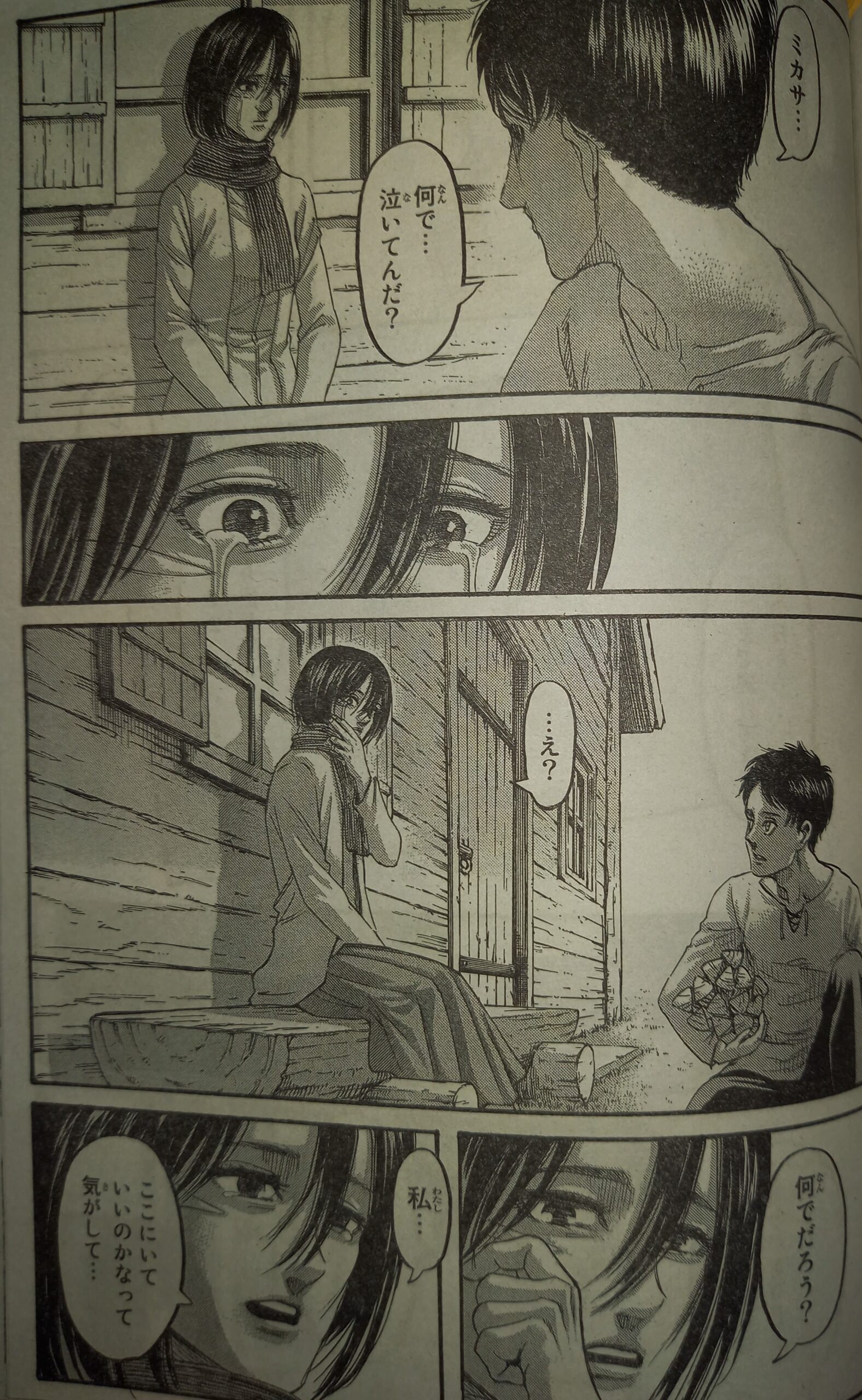 進撃の巨人 ラスボスはミカサだった 愛するエレンを殺したのはなぜ アニドラ何でもブログ