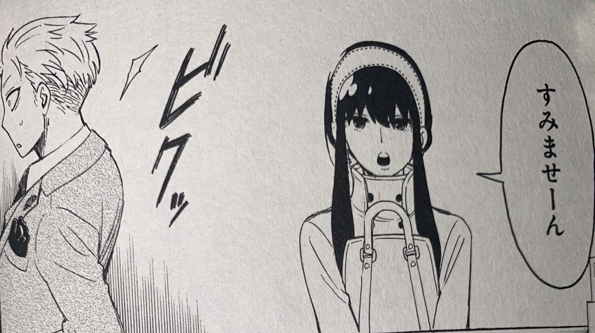 ジャンプラ 365 SPY×FAMILY スパイファミリー　ヨル　ロイド　幼少期 ジャンプラ 365 SPY×FAMILY スパイファミリー ヨル ロイド 幼少期