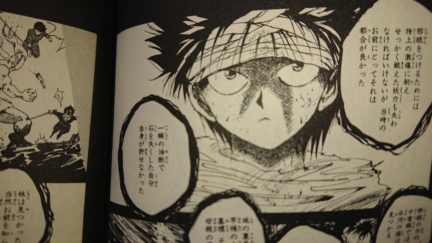 幽遊白書 飛影と雪菜の秘められた関係性と双子なのに母親が違うわけ アニもブログ