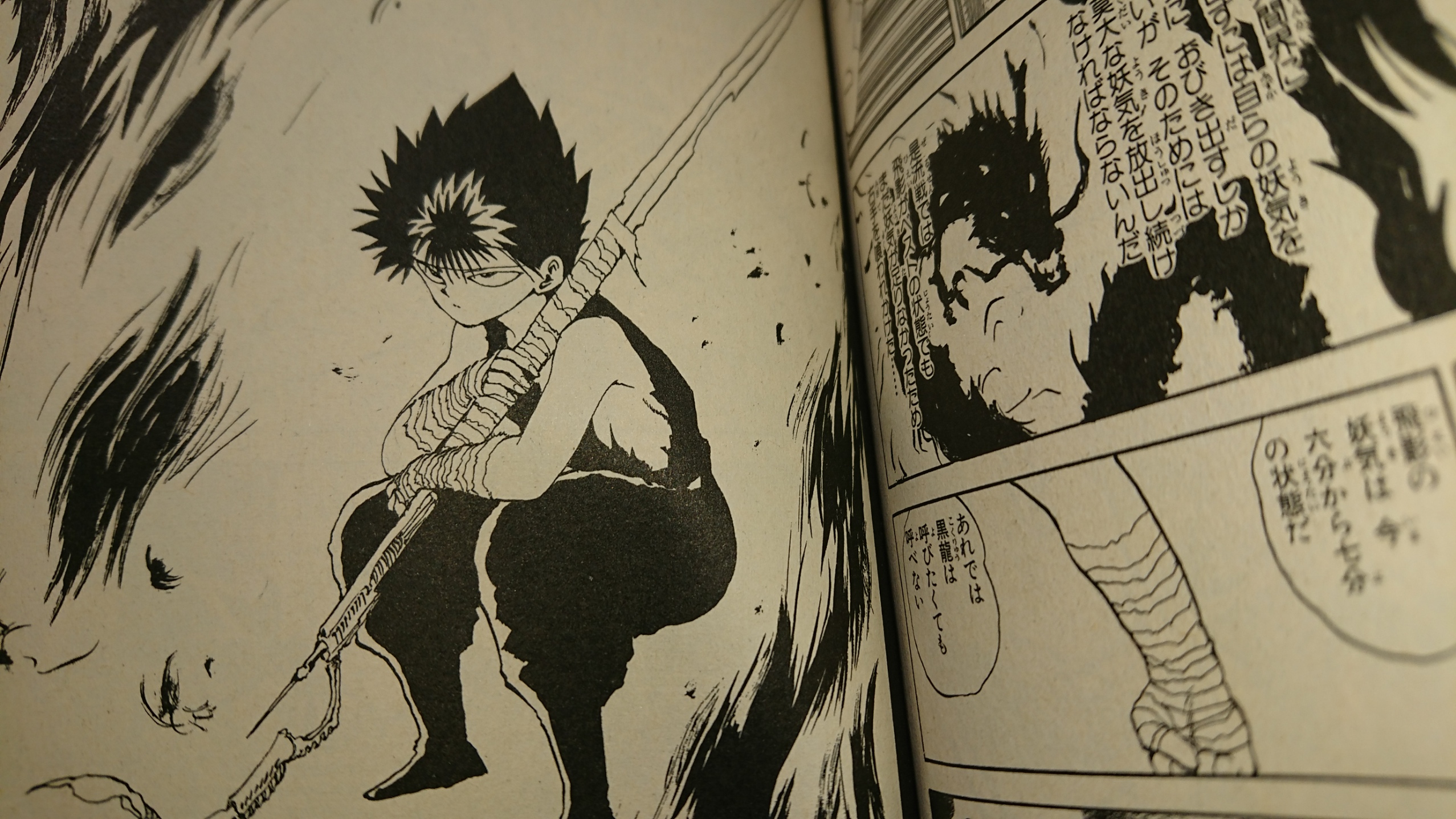 幽遊白書 飛影と雪菜の秘められた関係性と双子なのに母親が違うわけ アニもブログ