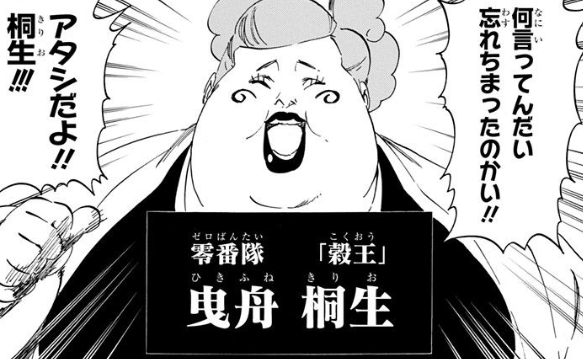 Bleach 曳舟桐生は一護の母親なのか 死亡した経緯と曳舟の創り出したもの アニドラ何でもブログ