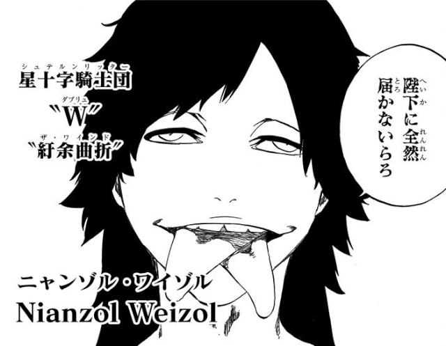 Bleach ニャンゾル ワイゾルは強いのか 聖十字騎士団での序列予想 アニドラ何でもブログ
