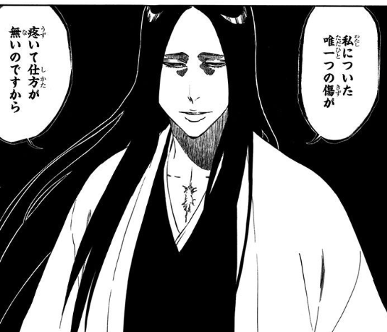 Bleach 卯ノ花烈が死亡した経緯と剣八との伏線は何巻で張られていた アニもブログ
