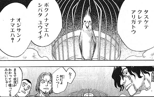 Bleach 茶渡泰虎の10年後の容姿と職業は ホロウ化や最終形態について アニもブログ