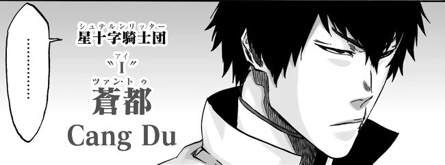 Bleach 日番谷冬獅郎と蒼都の戦いの決着は 能力や最後を徹底解説 アニもブログ Bleach 日番谷冬獅郎と蒼都の戦いの決着は 能力や最後を徹底解説 アニもブログ