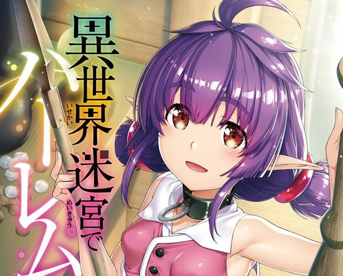 漫画「異世界迷宮でハーレムを」第7巻表紙絵のセリー